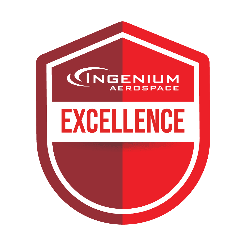 Excellence Badge