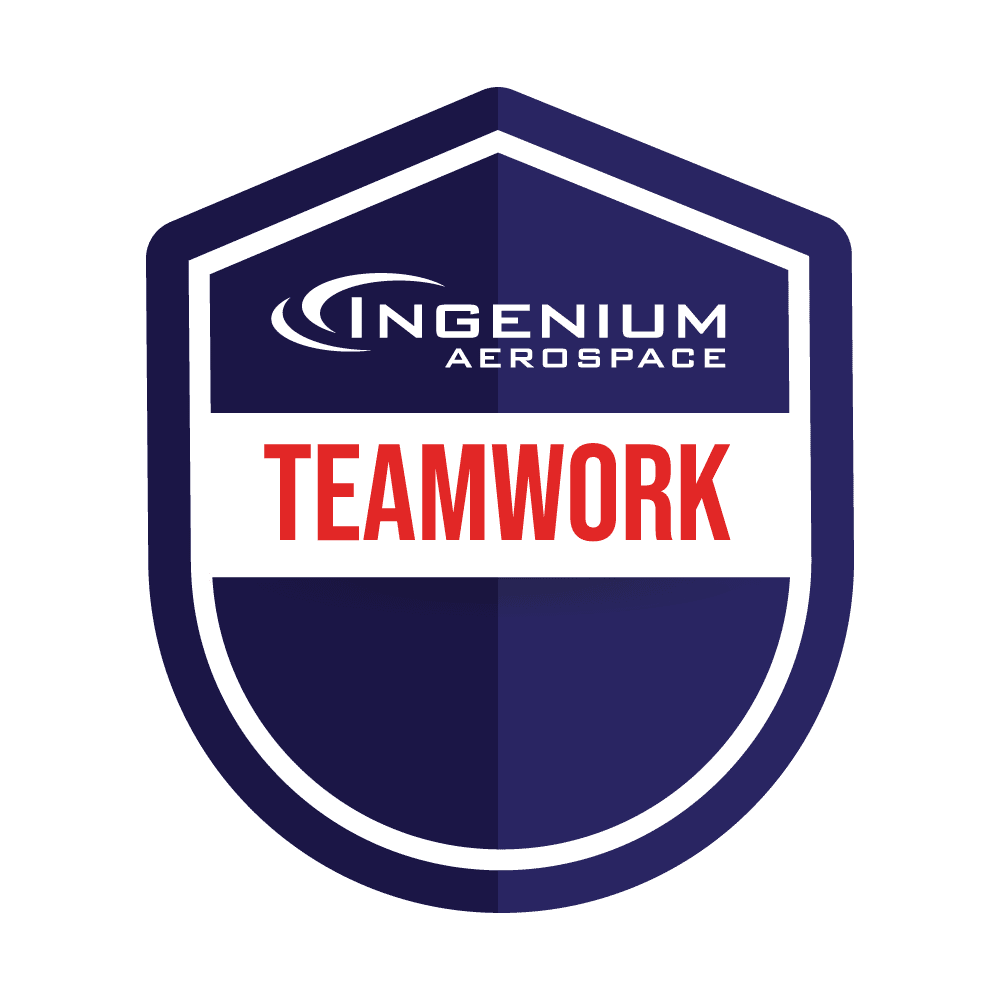 Teamwork Badge
